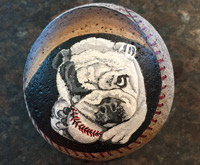 Bull Dog Baseball