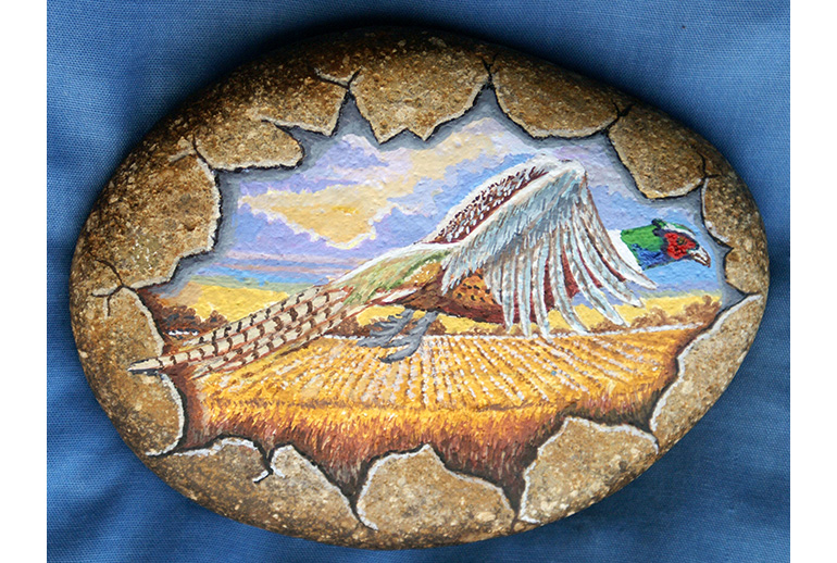 Pheasant Rock Painting